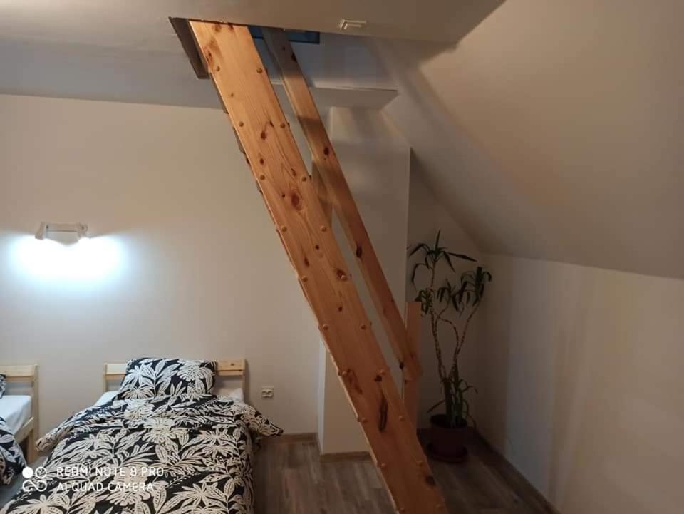 Appartement Apartameny Wiktoria I Nikola W Karwiku à Pisz Extérieur photo