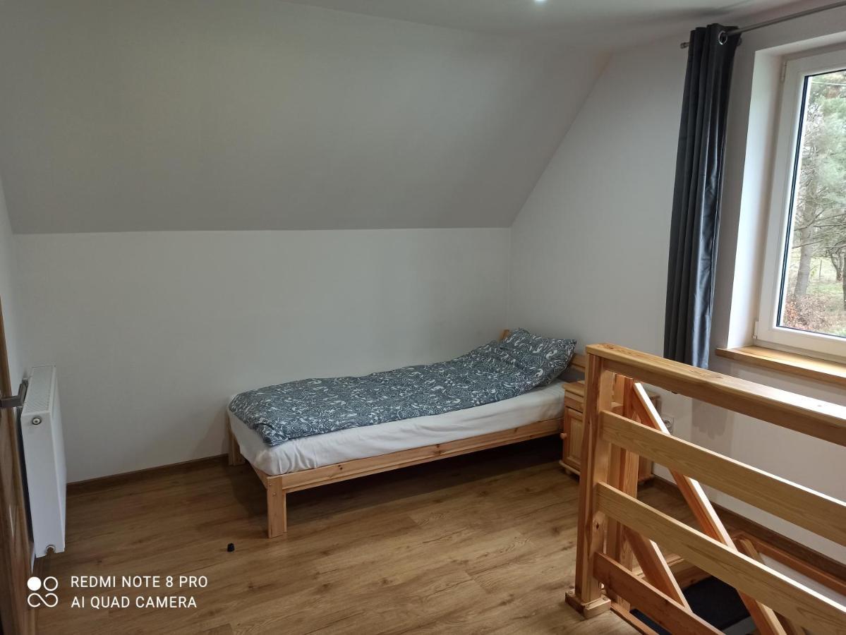 Appartement Apartameny Wiktoria I Nikola W Karwiku à Pisz Extérieur photo